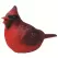 MCarr Cardinal Chirper