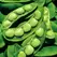 Limas, King Of Garden Pole - 50lb