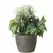 Algreen 16"x14" Mosaic Planter Brown
