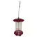 Friends of Flight 7" 1qt Seed Acrylic Feeder Red