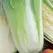 CABBAGE, MICHIHLI CHINESE 1 LB EACH