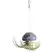 APM Air Plant Jellyfish Large Mix Purple