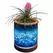 APM 8" Art Glass LED Planter Blue Marble