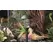 Moonrays Solar Cage Stake Light