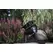 Moonrays Solar Black Plastic High Power Spotlight