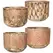 MCarr 32pc Mixed Planter Pallet Antique Yellow Cream