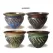 MCarr 50PC Round Belly Pot Planter Plt
