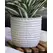 Palm Spring 9" Honey Comb Planter Ssl