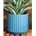 Palm Spring 8" Brush Comb Planter Dnm