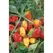 Peppers, Habanero Orange - 1/2oz