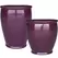 MCarr 30pc Smooth Planter Pallet Amethyst