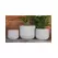 Avenue 5" Corrugated Cup Planter GCC