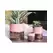Jewel 4" Cache Pot Rose