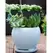 Verandah 6" Gerberba Sz B Wsp