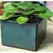 Verandah 6x4.5 Square Self Watering Jade