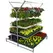Poly-Tex Double Tri-Step Display Includes Double Purlin
