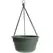 Bloem 12" Durcotta Basil Hanging Basket