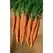 Carrot, Little Finger - 1/2oz