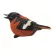 MCarr Oriole Chirper