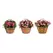 Deer Park Basket Variety Pk 2 Floral Daisy Ribbon Arch