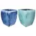MCarr 16pc Camillia Square Planter Pallet Mixed Colors