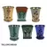 MCarr 6pc Tall Orchid Pot 3 Styles Mix Asst