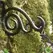 Panacea 6" Bracket Scrolls Antique Bronze