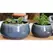 Jewel 8.5" Freeform Bowl Nbl