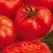 Tomato, Beefmaster Untreated - 5,000 Sd Ct