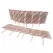 Amblyseius andersoni 1,000 mini sachets on sticks 125 mites per sachet ( Spider Mite )