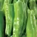 Peppers, Cubanelle 10,000 Seed Count