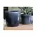 Jewel 6.5" Freeform Pot Nbl
