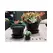 Verandah 8x6.5 Standard with Saucer Black