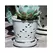 Verandah 7.5" Wsp Waikiki Orchid Pot