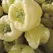 Peppers, Habanero White - 100 Seed Count