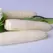 CORN, ARGENT 1