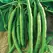 Beans, White McCaslan Pole - 25lb
