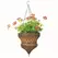 Austram 14" Queen Anne Parasol Hanging Planter Bronze