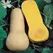 Squash, Butternut Waltham - 5,000 Seed Count