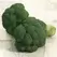 Broccoli, Imperial 5,000 Seed Count