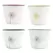 VCS 8" Wish Planter