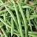 Beans, Tendergreen Bush Stringless - 1/2lb