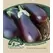 Eggplant, Black Beauty - 1oz