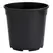 DLN 01.00QT PEREN POT T/W TL BLK 475/CS 33CS/PL