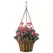 Deer Park Solera Hanging Basket With Coco Liner