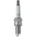 Maxpower NGK Spark Plug DCPR6E