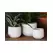 Avenue 6" Corrugated Cup Planter WCC