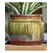 Jewel 4.5" Self Watering Pot Rnf