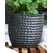 Palm Spring 7.5" Honey Comb Planter Sgy