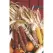 Corn, Ornamental 1lb